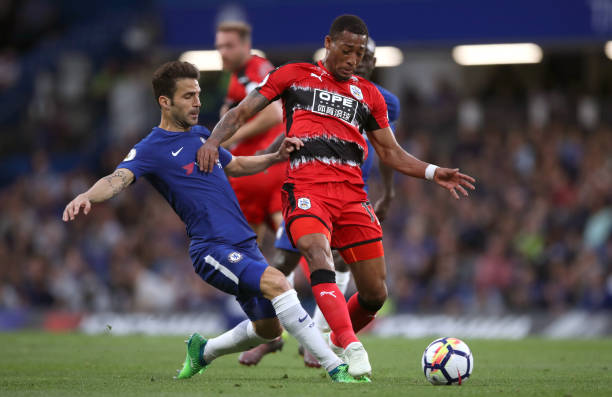 露關注的一 露關注的一